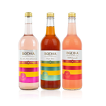 Mixed Pack of 3 Flavours - Bottle 750ml - Pack of 6